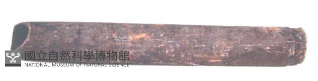 水筒藏品圖，第1張