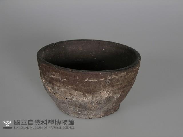 Accession Number:2005001019 Collection Image