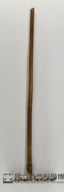 八齒釘耙藏品圖，第1張