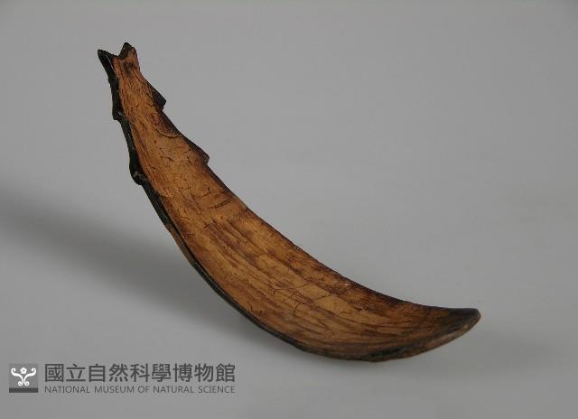 匙藏品圖，第1張