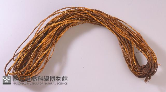 胸飾藏品圖，第1張