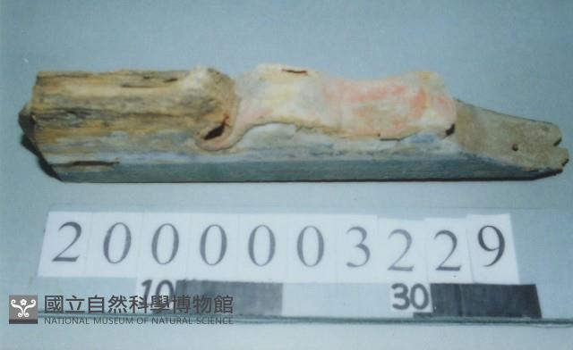 廟宇木構件藏品圖，第1張