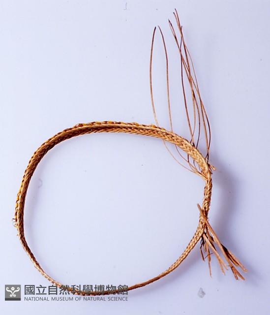 手環 藏品圖，第1張