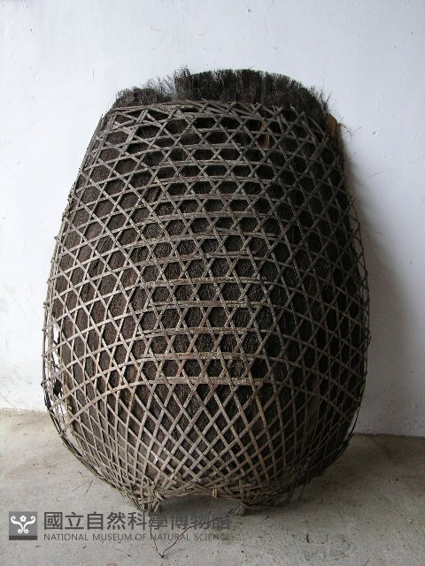龜甲笠藏品圖，第1張