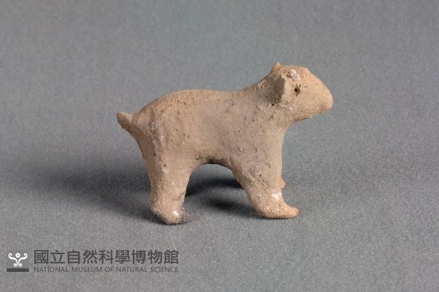 豬偶藏品圖，第1張