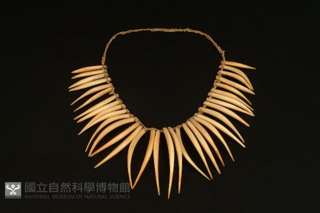 鯨齒項鍊 藏品圖，第1張