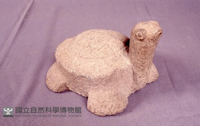 石龜    藏品圖，第1張