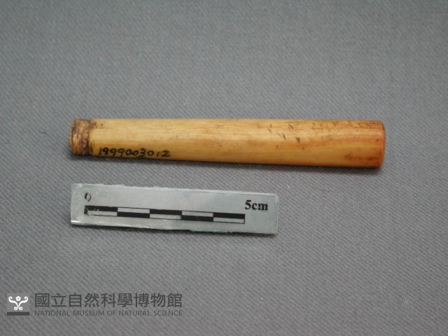 菸斗藏品圖，第1張