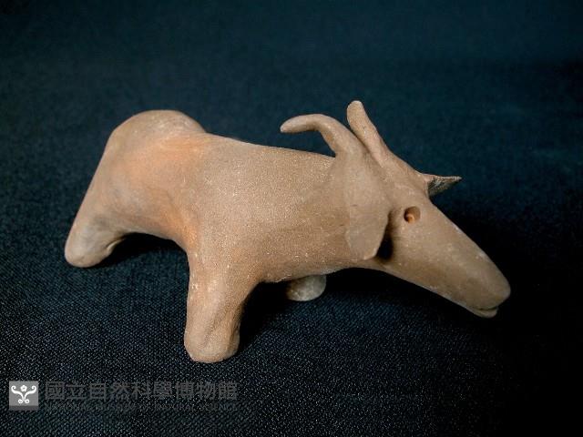 小羊藏品圖，第1張