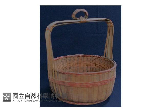 謝籃藏品圖，第1張