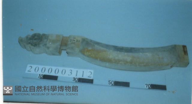 廟宇木構件藏品圖，第1張