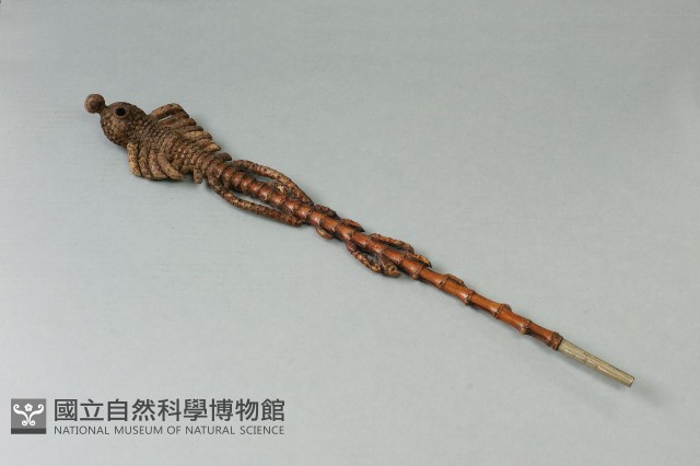 竹煙斗藏品圖，第1張