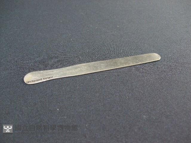 壓舌棒藏品圖，第1張
