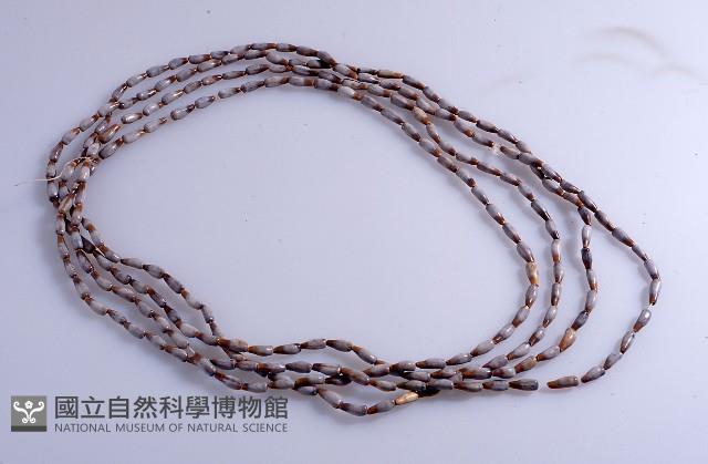 頸飾藏品圖，第1張