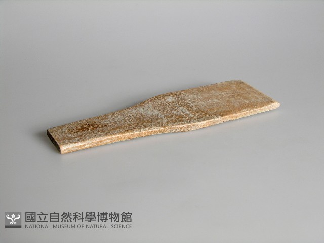 拍具藏品圖，第1張