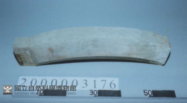 廟宇木構件藏品圖，第1張