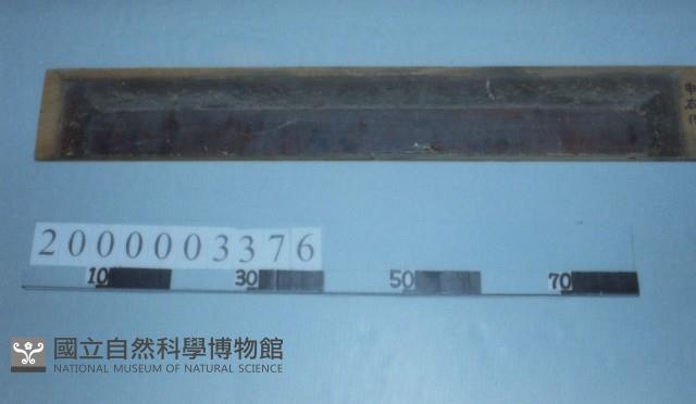 廟宇木構件藏品圖，第1張