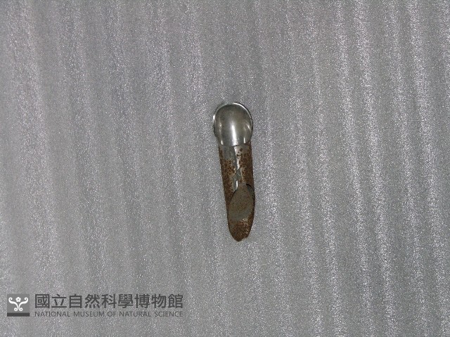 蒔田管藏品圖，第1張