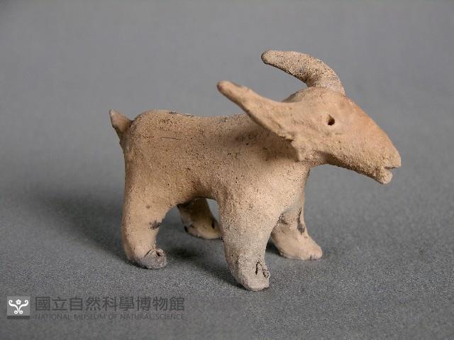 羊偶藏品圖，第1張