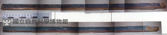 廟宇木構件藏品圖，第1張