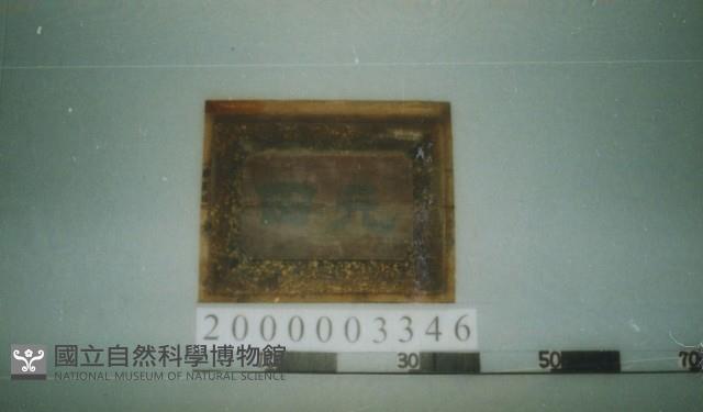 廟宇木構件藏品圖，第1張