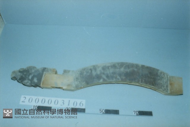 廟宇木構件藏品圖，第1張