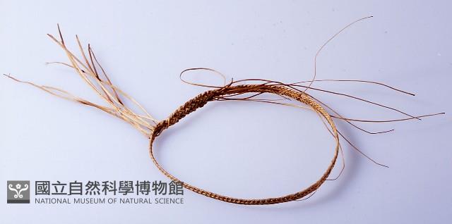 手環 藏品圖，第1張