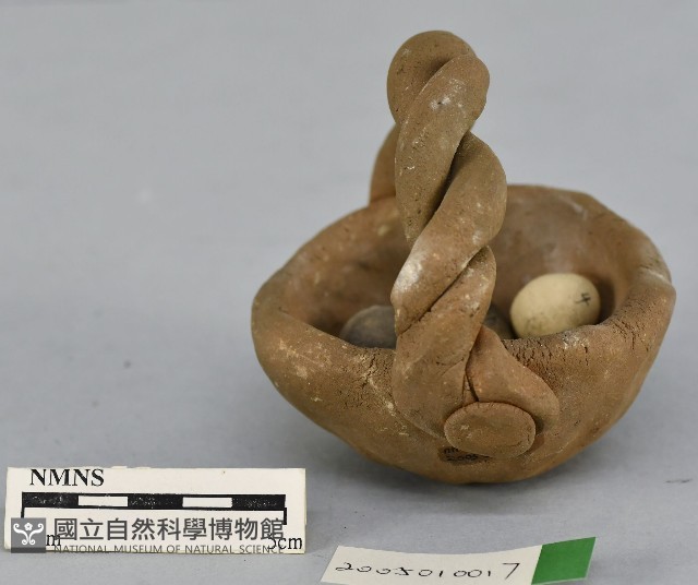 鳥蛋藏品圖，第2張