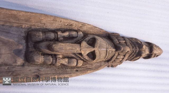 Accession Number:1993008183 Collection Image, Figure 2, Total 2 Figures