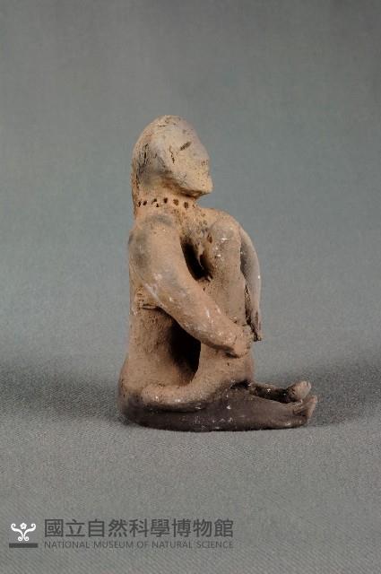 Accession Number:2005009043 Collection Image, Figure 2, Total 2 Figures