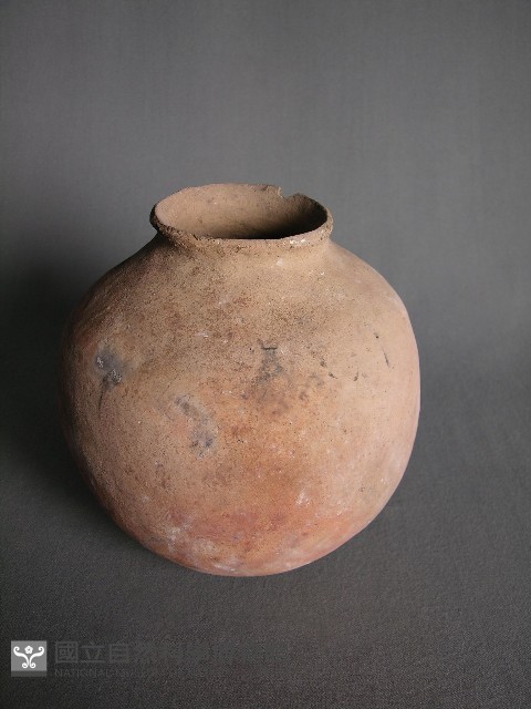 陶罐藏品圖，第2張