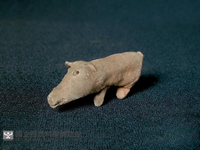 小豬藏品圖，第2張