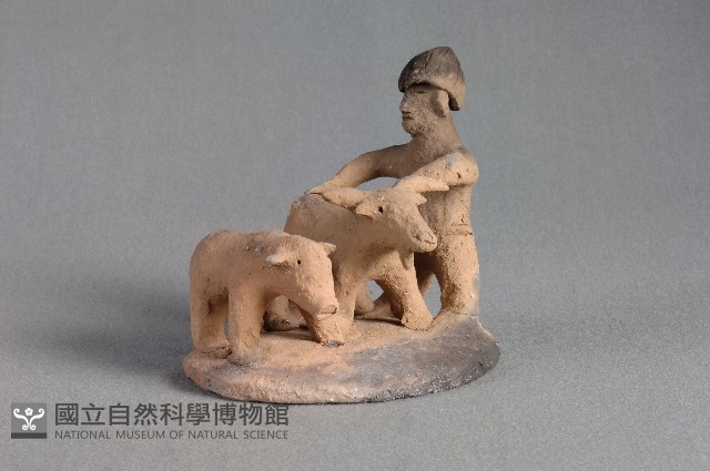 動物組合藏品圖，第2張