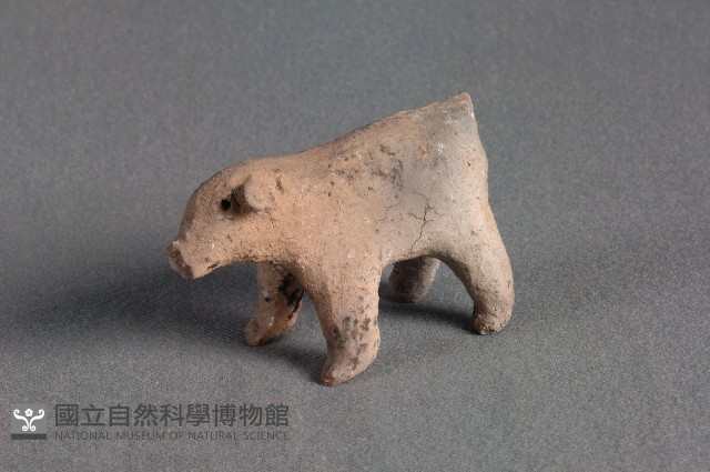 豬偶藏品圖，第2張