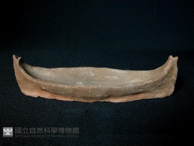 Accession Number:2005010024 Collection Image, Figure 2, Total 2 Figures