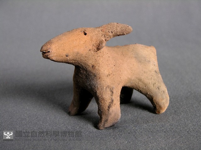 羊偶藏品圖，第2張