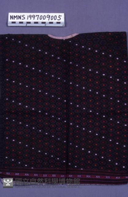 Accession Number:1997009005 Collection Image, Figure 2, Total 2 Figures