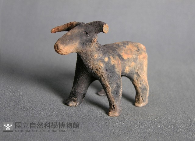 羊偶藏品圖，第2張
