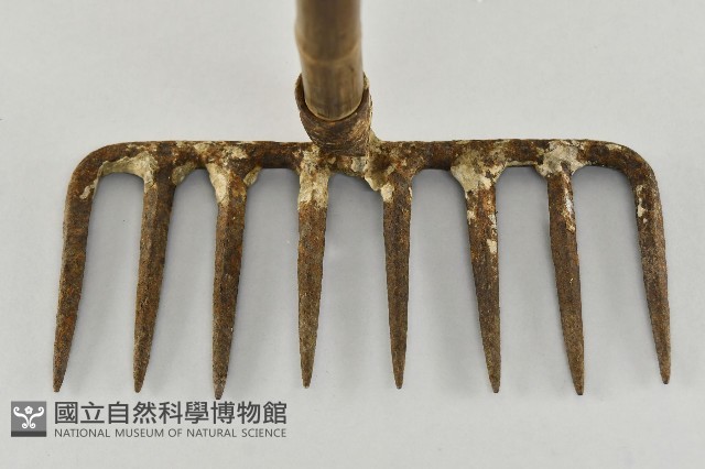 八齒釘耙藏品圖，第2張
