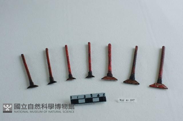 蠟刀藏品圖，第4張