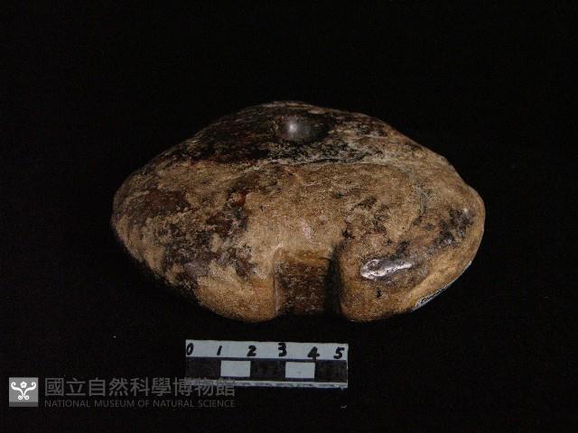 神靈石藏品圖，第2張