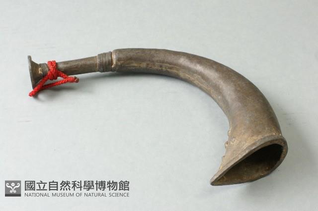 法號藏品圖，第2張