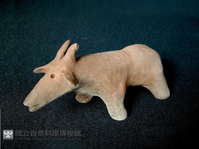 小羊藏品圖，第2張