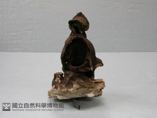 泥塑藏品圖，第2張