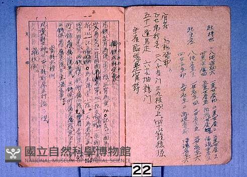 卜筮靈龜八卦藏品圖，第2張