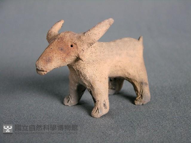 羊偶藏品圖，第2張