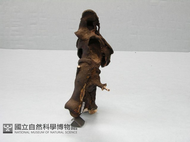 泥塑藏品圖，第2張