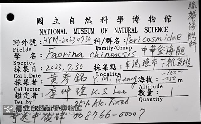 中華釜海膽藏品圖，第10張