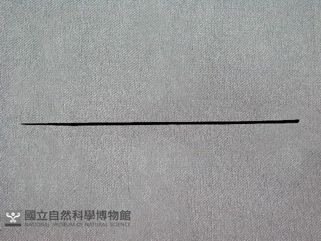 竹箭藏品圖，第3張