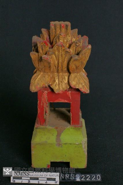 Accession Number:0000002220 Collection Image, Figure 1, Total 5 Figures